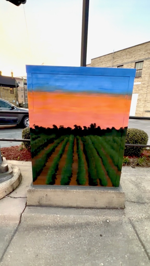 ❤️🤍A Little Piece of Westside in Downtown Jonesboro ❤️🤍 One of our own is sharing the beauty of Westside with the city of Jonesboro in a truly special way.  Hi friends, I’m Cady Honeycutt 👋🏼  Every weekday morning, I drive a school bus for Westside. Because I have an extended route, I typically begin my drive in the dark. This also means I get to see the sunrise every morning. Part of my route takes us down dirt roads that are sandwiched between fields and fields. And even more fields.  Honestly, the view never gets old. I love seeing the world wake up slowly - the colorful morning rays peeking over the tree tops, the crops gently swaying in the wind, the birds gracefully flittering by. It’s something I look forward to every single morning.  Occasionally, The Foundation of Arts in Jonesboro opens submissions to beautify traffic control boxes throughout the area. I have always been intrigued by the different designs chosen and wanted to be a part of it. This year, when the FOA announced they were accepting submissions, I knew exactly what I wanted to send in.  I painted this awe-inspiring scene in hopes of being selected. After a month or so, I was contacted by the FOA notifying me that I was selected to paint the traffic control box on Matthews and Church Street in downtown Jonesboro. My jaw dropped with equal amounts of shock and excitement.  I am incredibly thankful for the opportunity to share a glimpse of the hard work and dedication our Westside community provides to NEA.