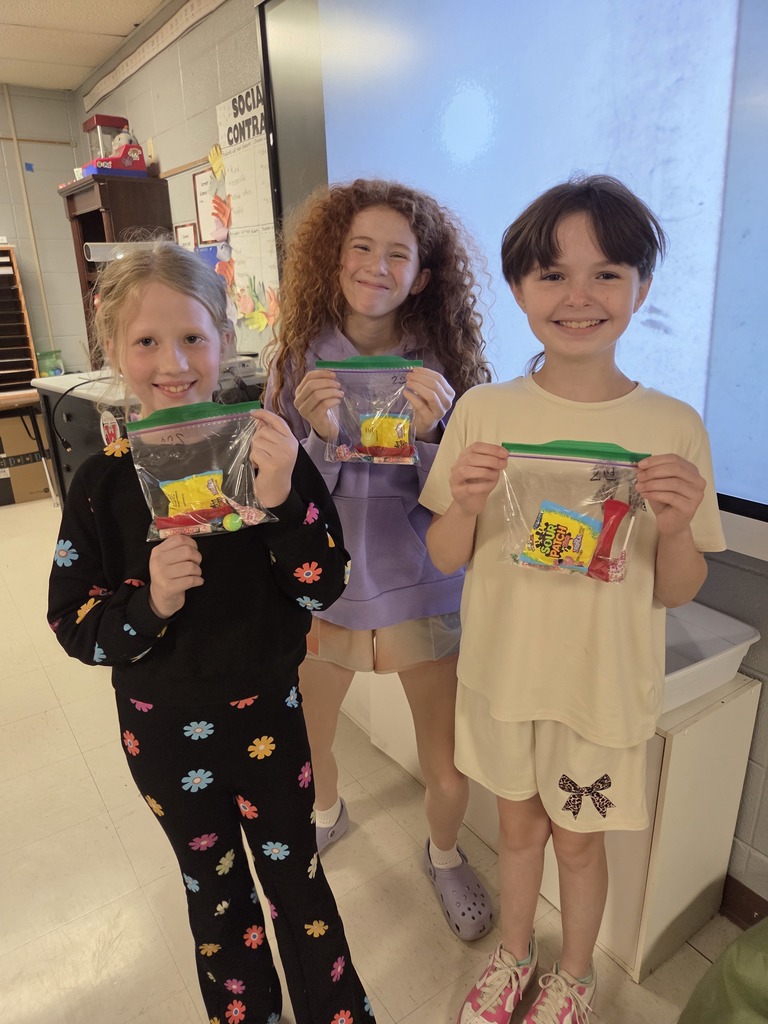 Mrs. Wilson’s 4th grade math classes worked in teams this week to review for ATLAS in a fun and engaging way!  Students chose their own teams and used their fraction skills to solve a math mystery.   The first, second, and third place teams even earned prizes!  Great job to all of our students for working together and sharpening those skills!   💪❤️🤍