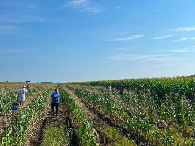 On Monday morning a few of our cadets got up early to go and pick corn for the Food Bank of Northeast Arkansas. They did a great job today and appreciate them taking time during their summer break to serve.