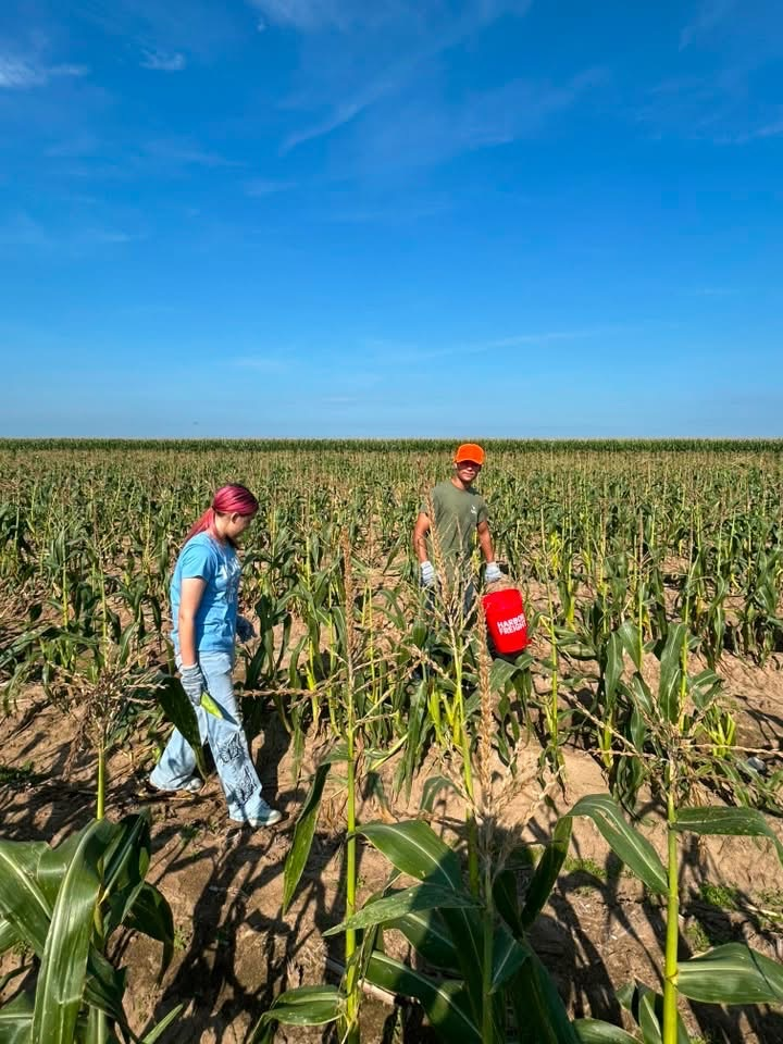 On Monday morning a few of our cadets got up early to go and pick corn for the Food Bank of Northeast Arkansas. They did a great job today and appreciate them taking time during their summer break to serve.