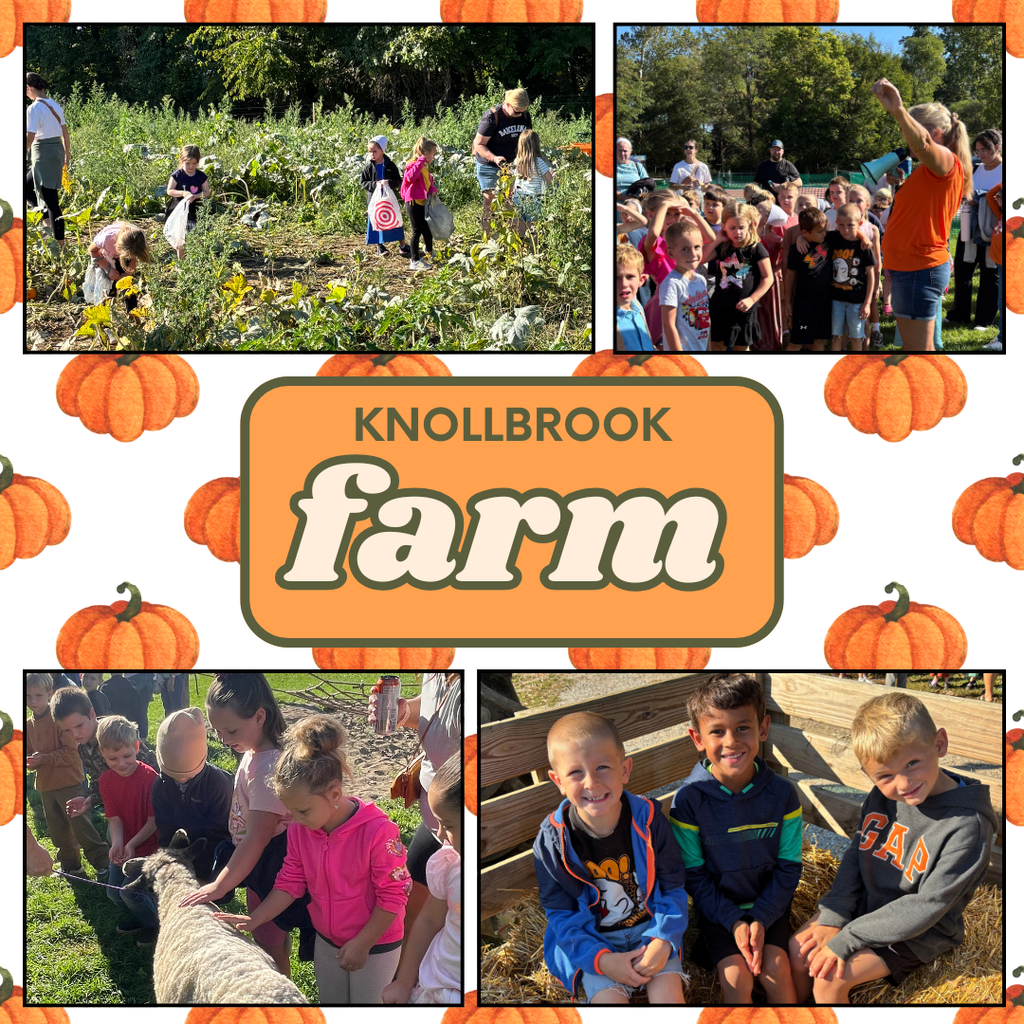 kids at knollbrook farm
