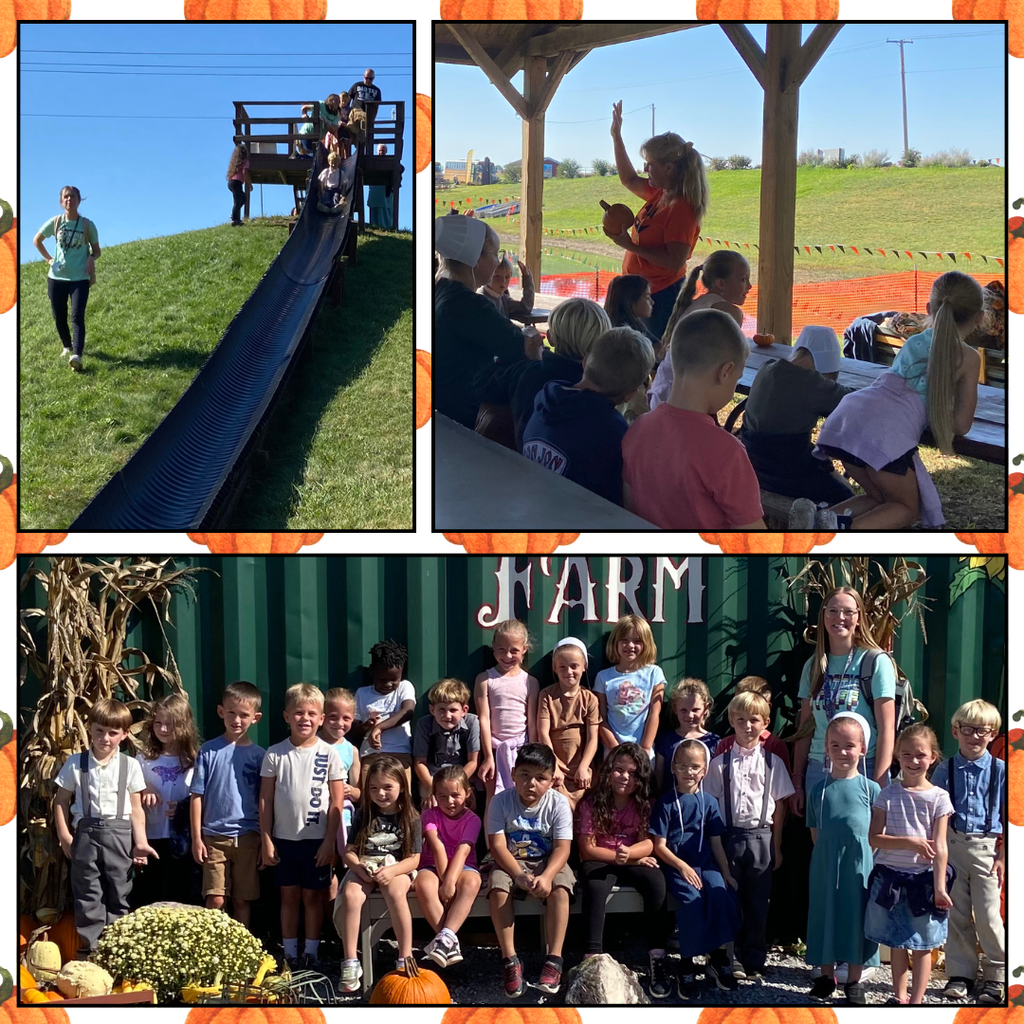 kids at knollbrook farm
