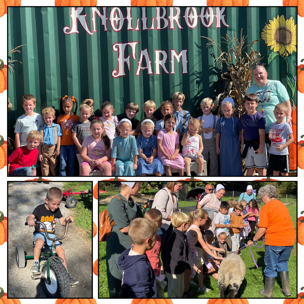 kids at knollbrook farm