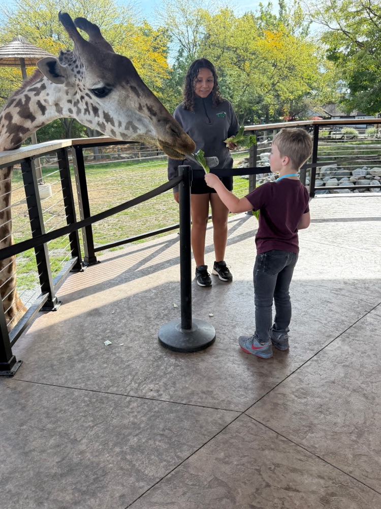 zoo4
