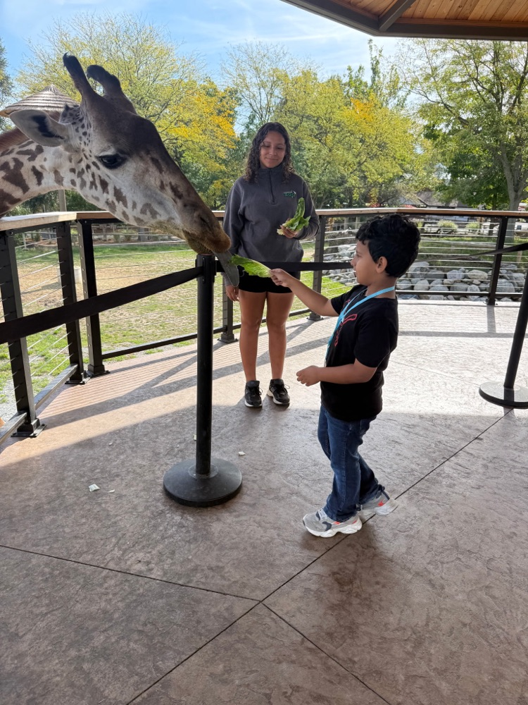 zoo6