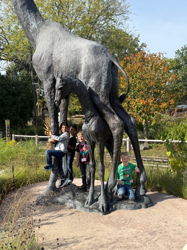 zoo7