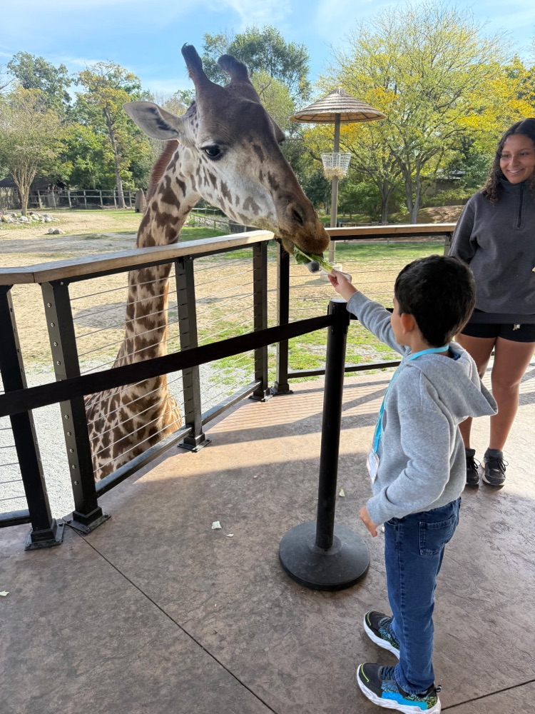 zoo8