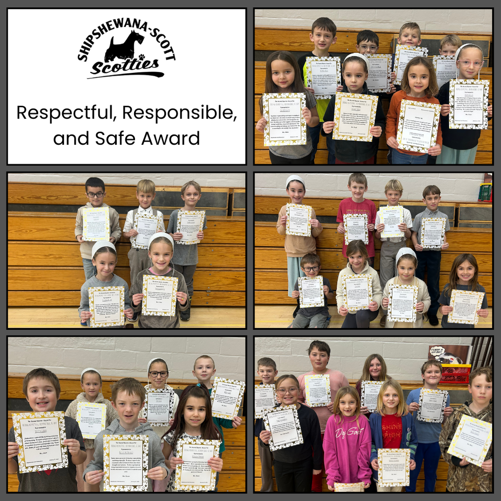 respectful, responsible, and safe award