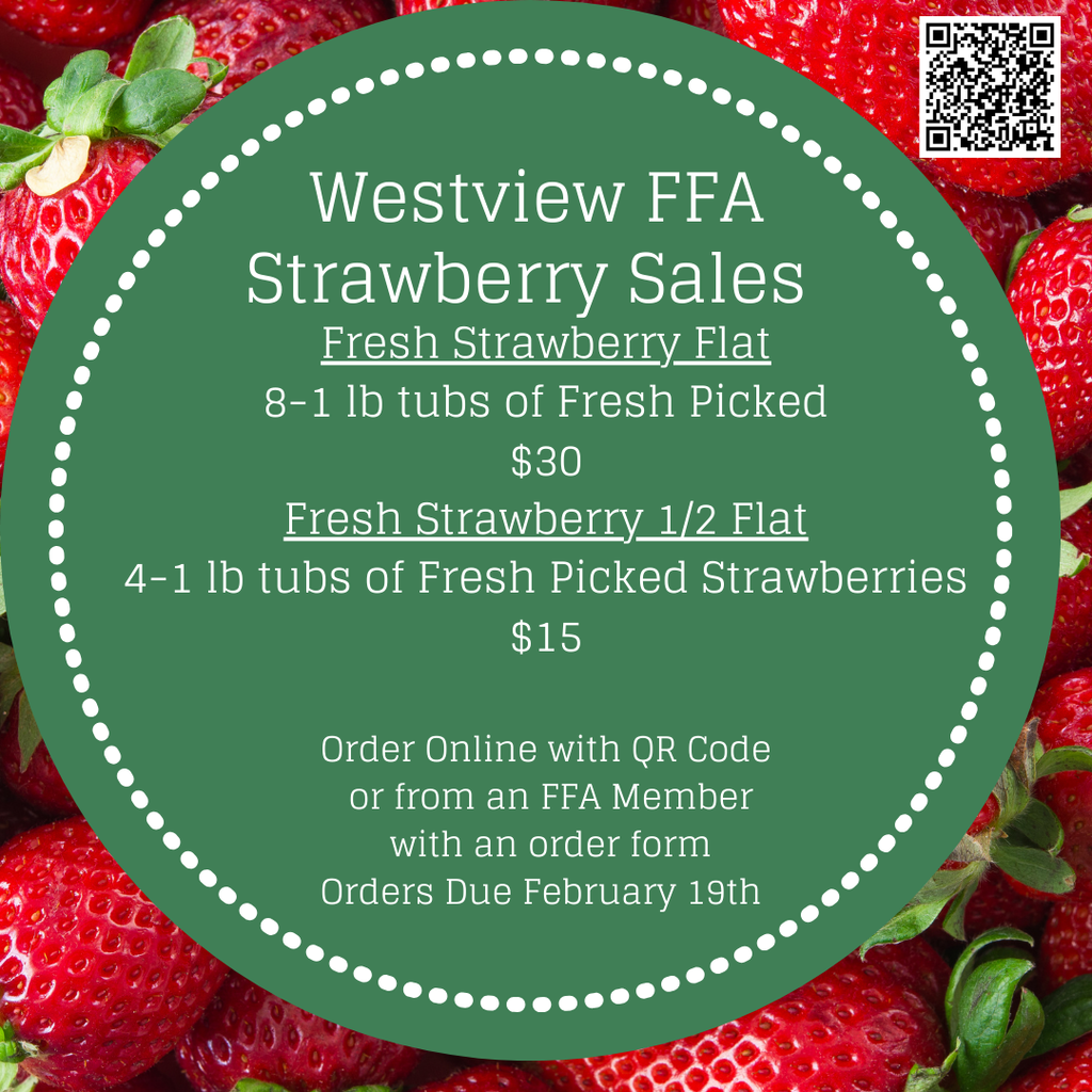 Strawberry Fundraiser