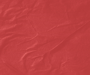 Dynamic Singsations Church Tour