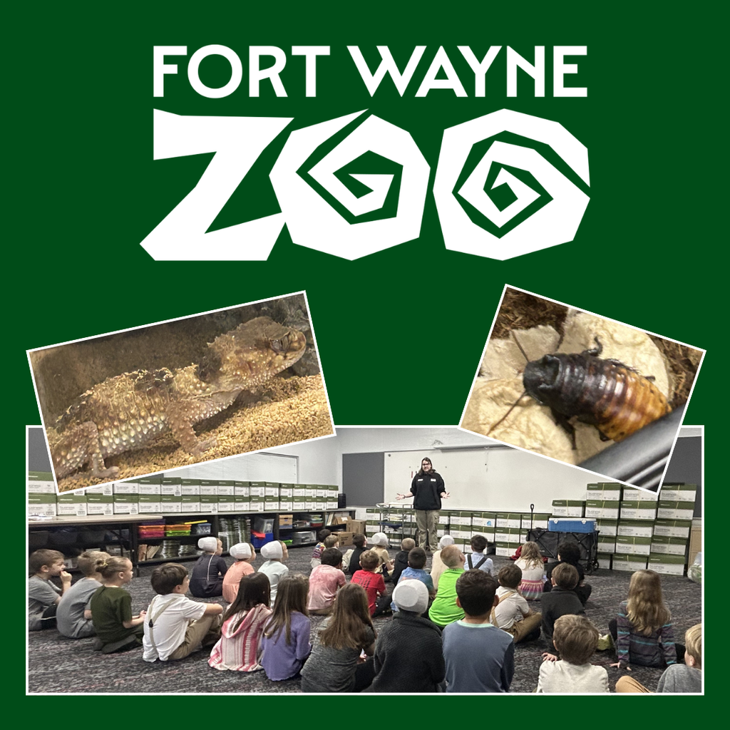 fort wayne zoo showing some creatures to students