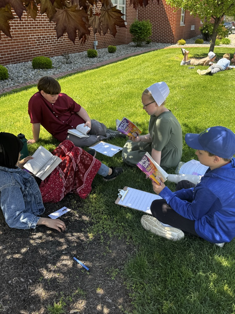 novel study 