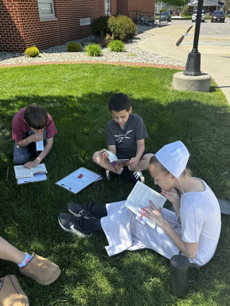 novel study 