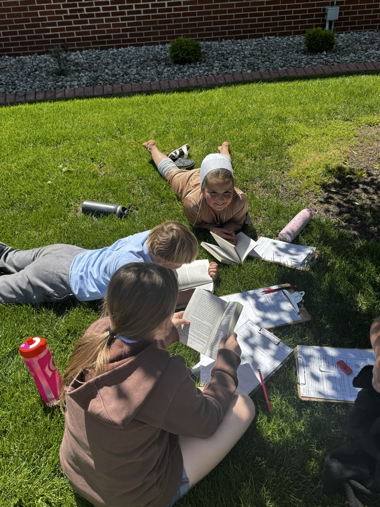 novel study 