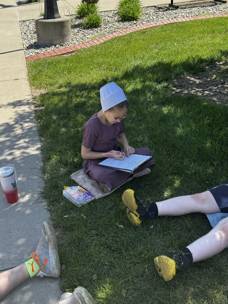 novel study 