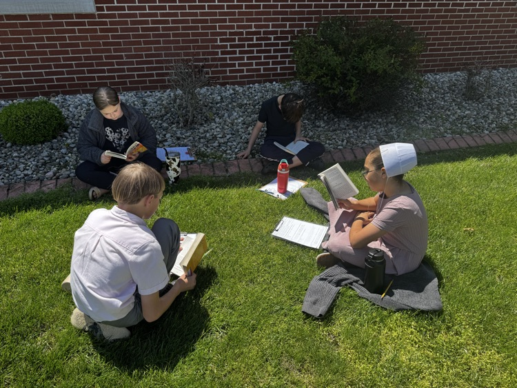 novel study 