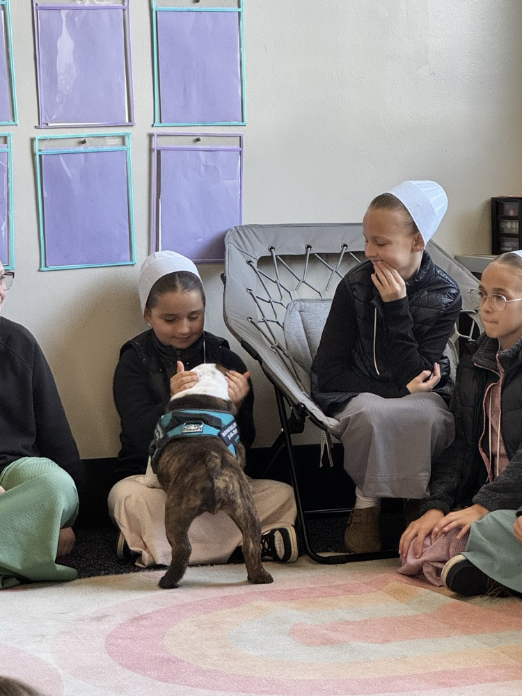 guest reader 