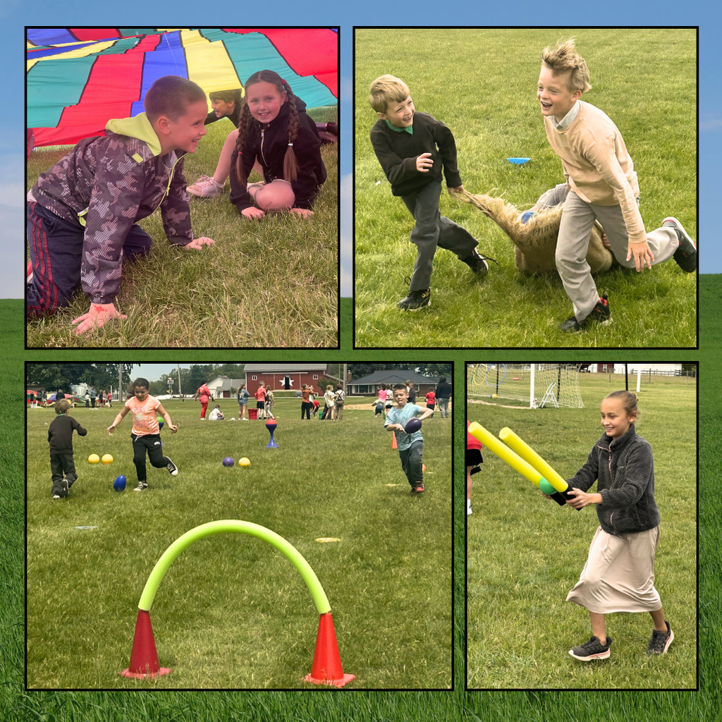 kids participating in field day activities