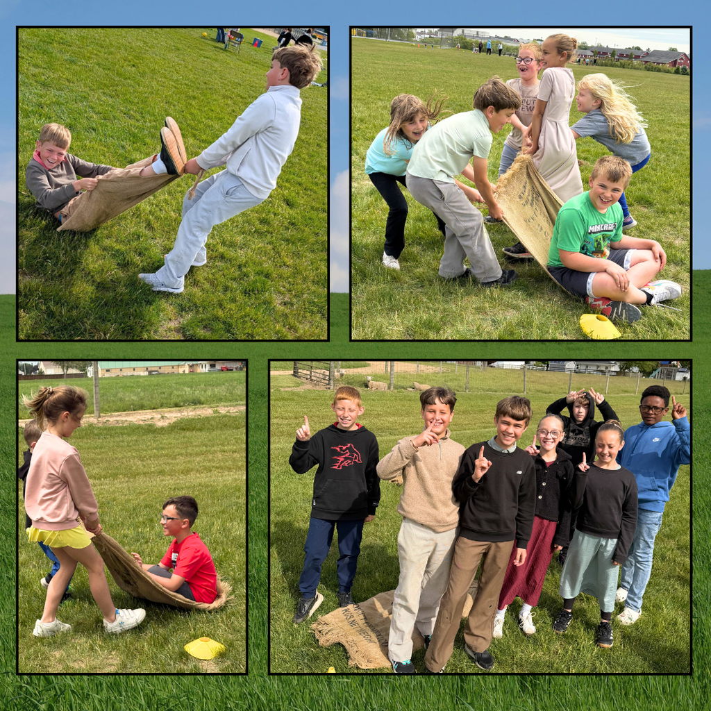 kids participating in field day activities