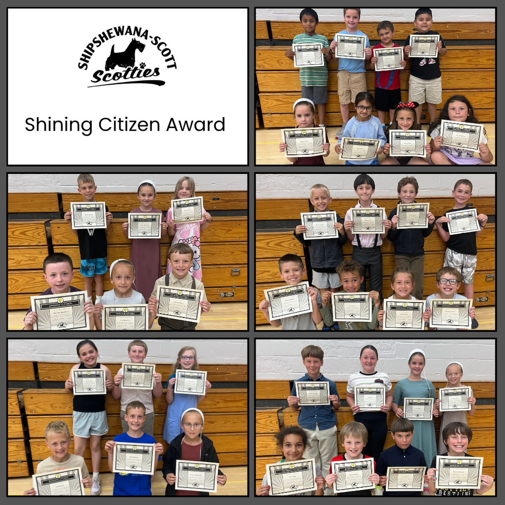shining citizens