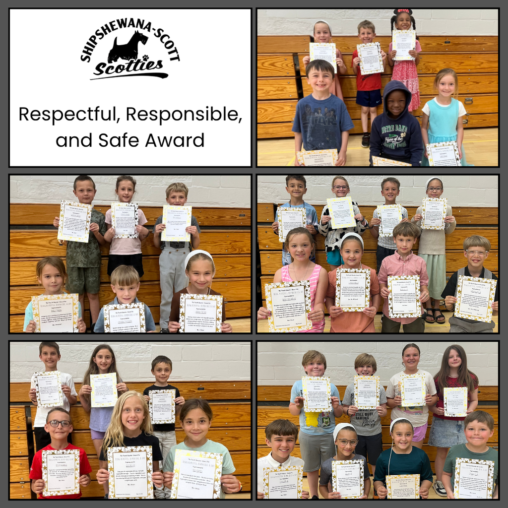 respectful, responsible, and safe award