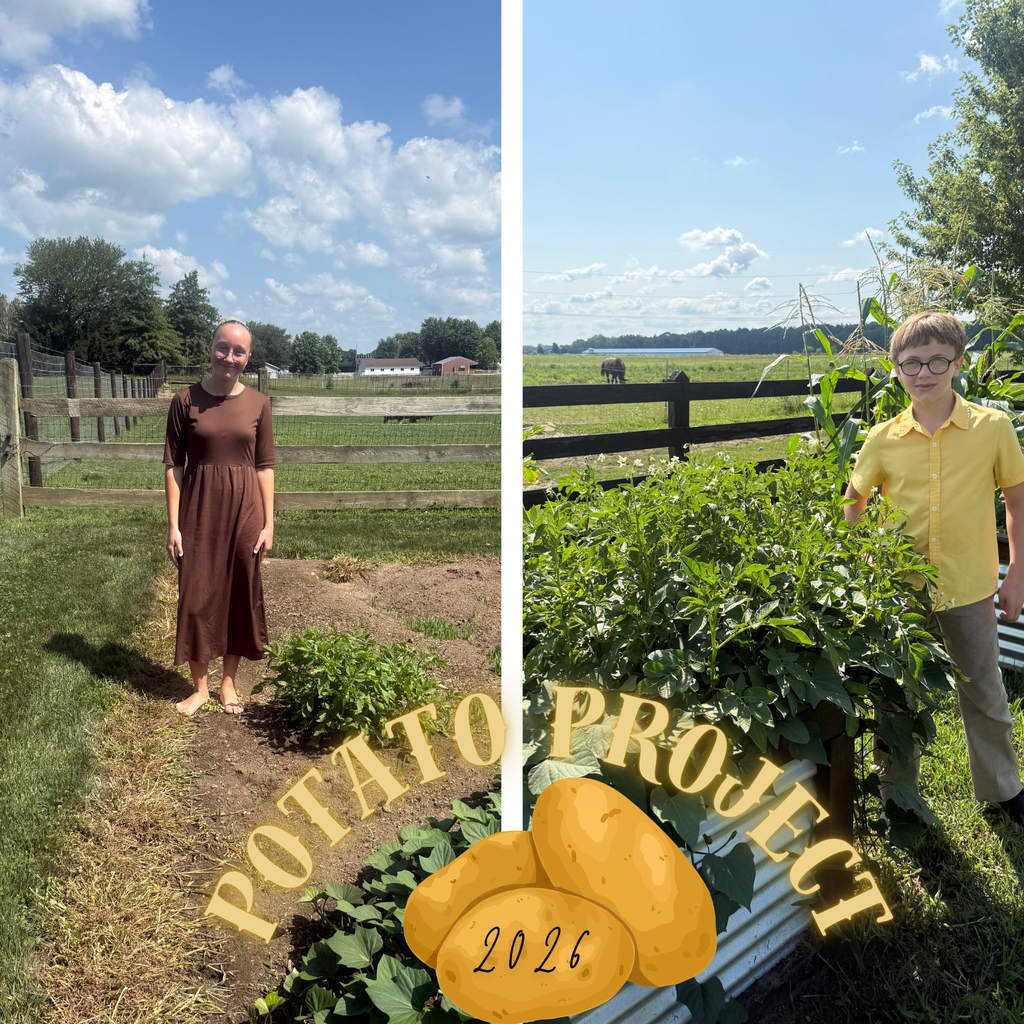 Potato Project 2026