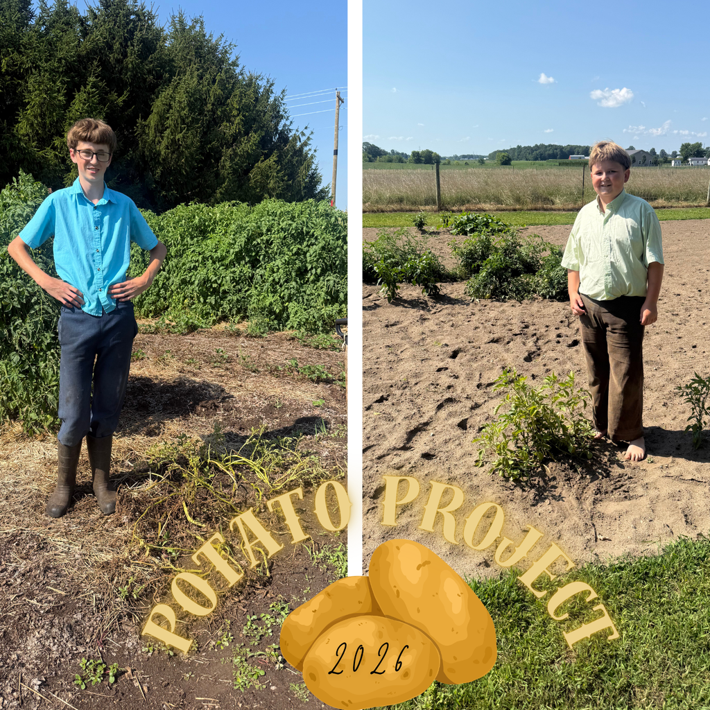 Potato Project 2026