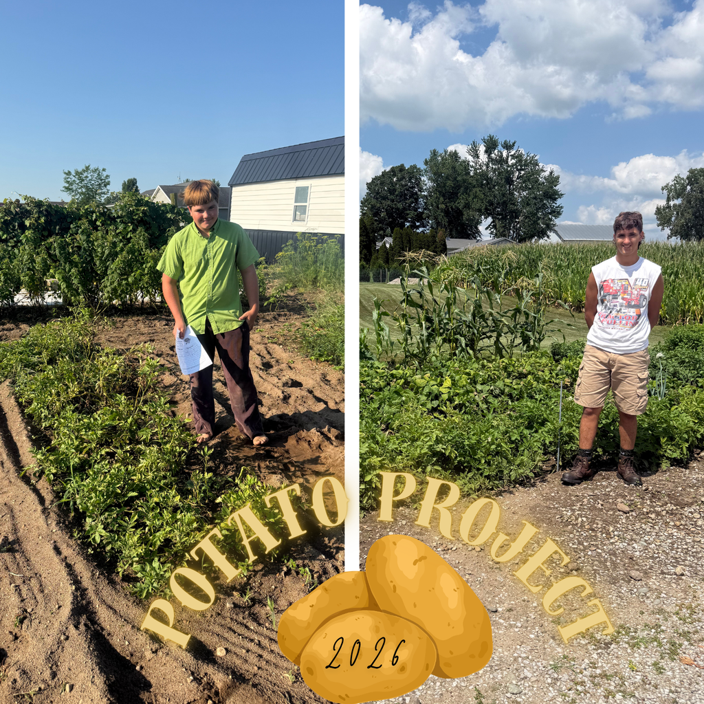 Potato Project 2026