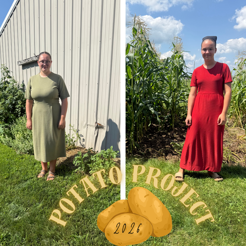 Potato Project 2026