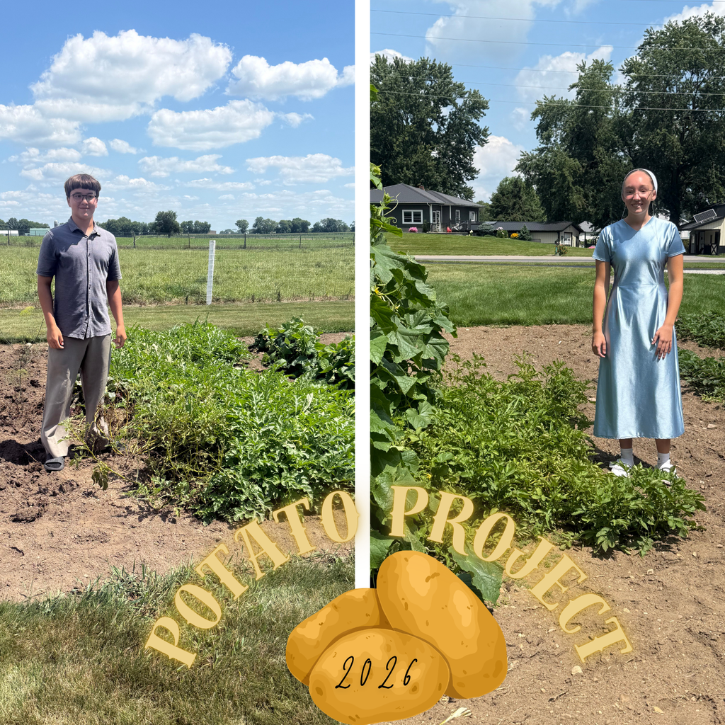 Potato Project 2026