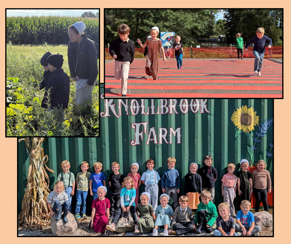 kindergarteners at knollbrook farm