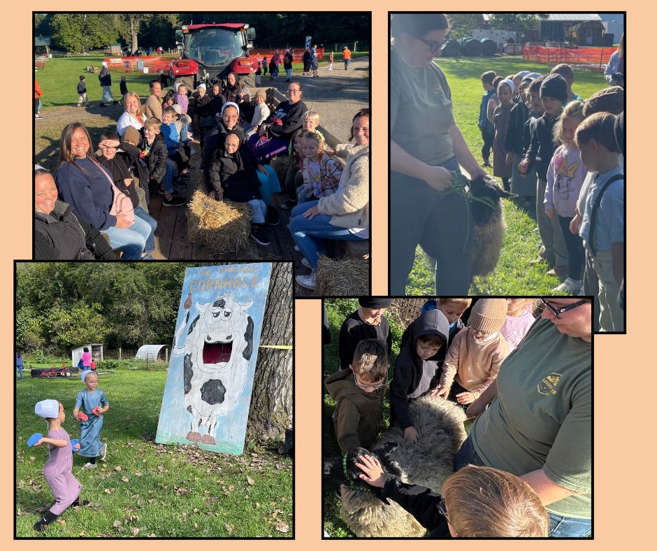 kindergarteners at knollbrook farm