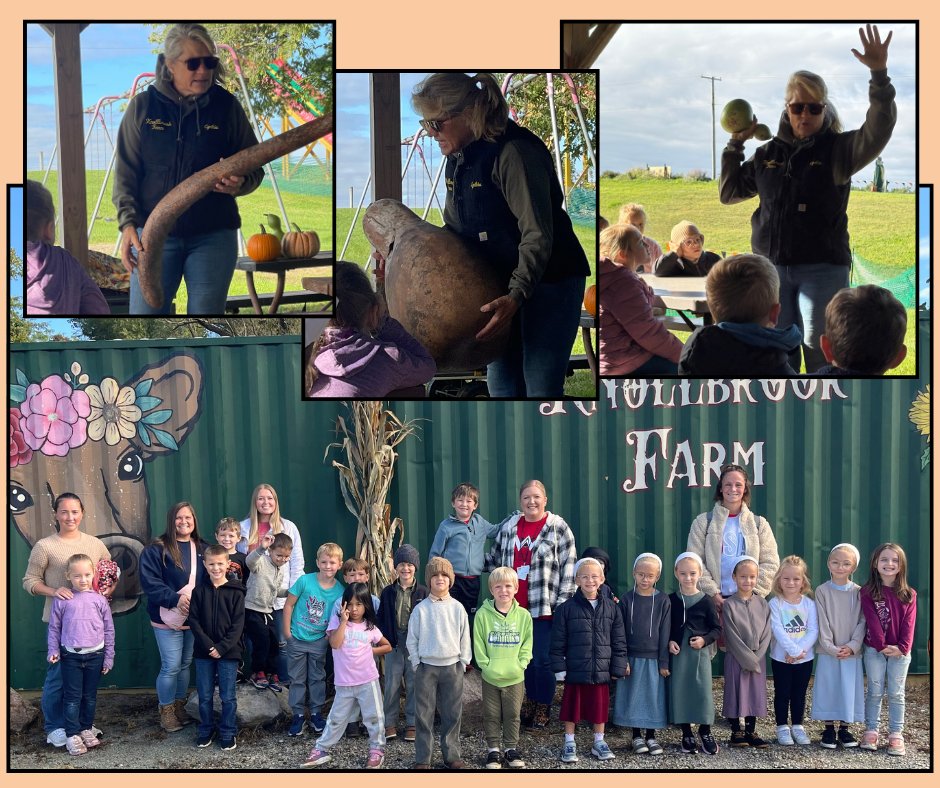 kindergarteners at knollbrook farm