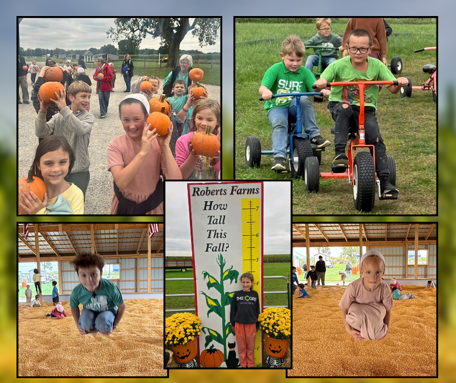students at Roberts farm