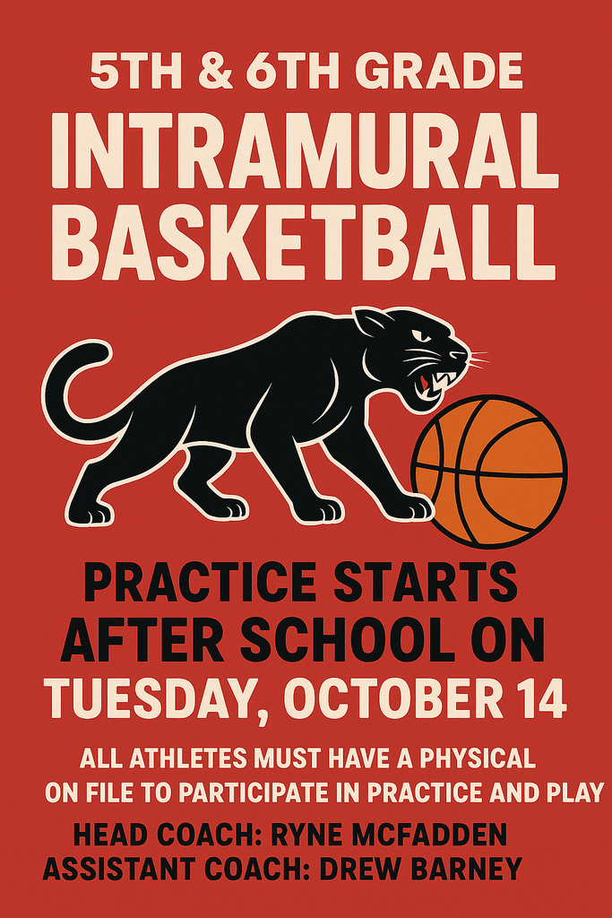 5th and 6th Grade Boys' Basketball Poster