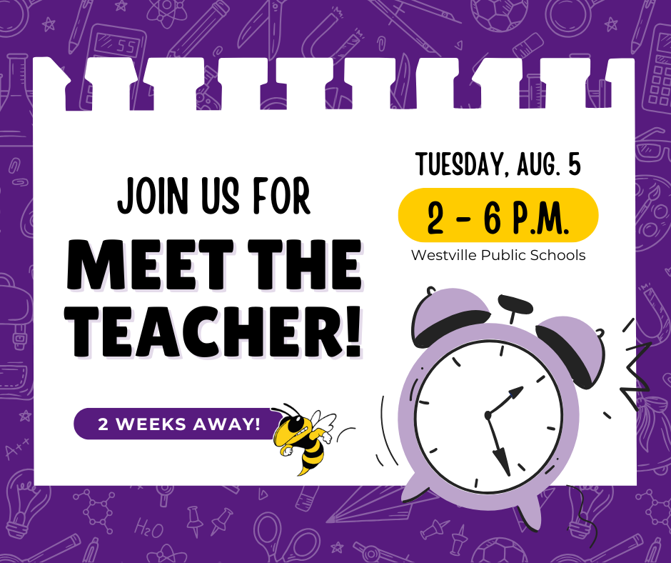 meet the teacher