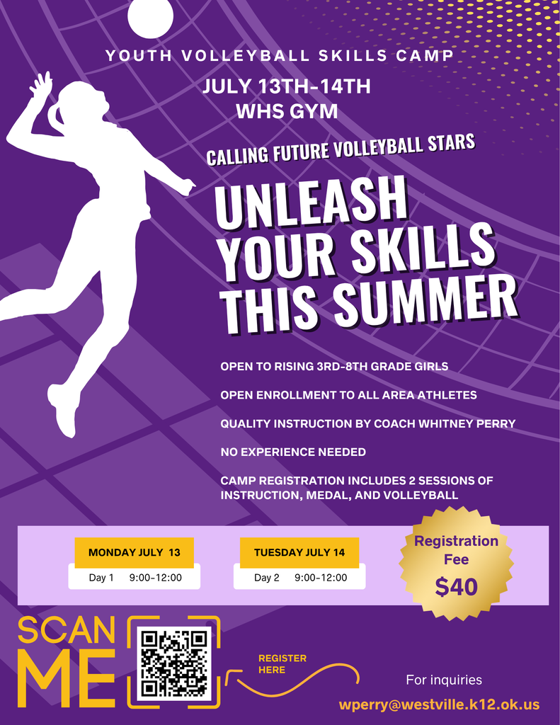 Volleyball camp
