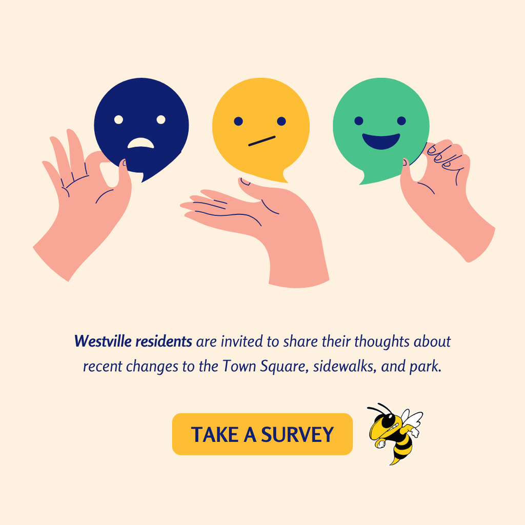 community survey
