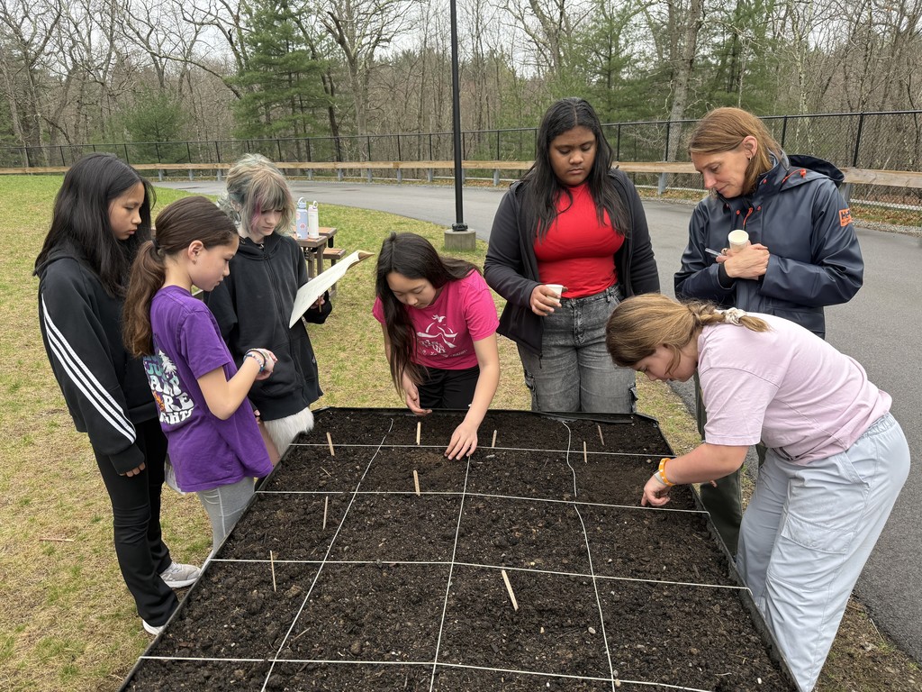Students planting