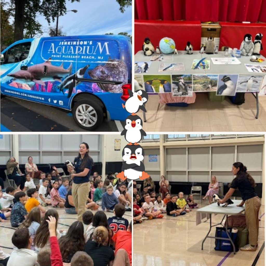 Our Penguin Assembly was a tremendous success, filled with laughter, learning, and plenty of waddling fun! Students discovered fascinating facts about penguins, and we are thankful to our PSO for organizing such a fantastic assembly! #JustFocusonGrowing
