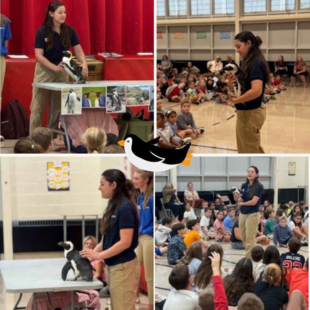 Our Penguin Assembly was a tremendous success, filled with laughter, learning, and plenty of waddling fun! Students discovered fascinating facts about penguins, and we are thankful to our PSO for organizing such a fantastic assembly! #JustFocusonGrowing