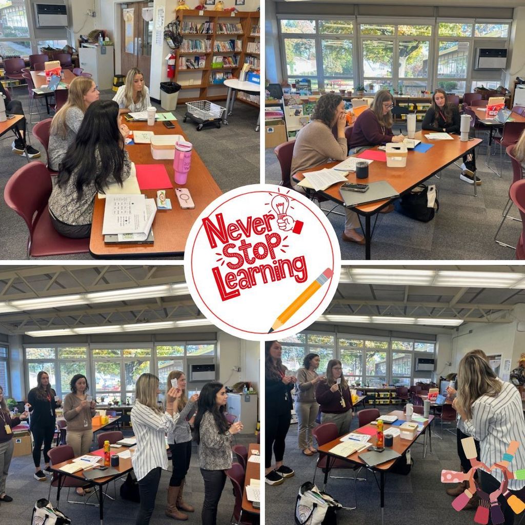 Continued professional development on our co-teaching framework 