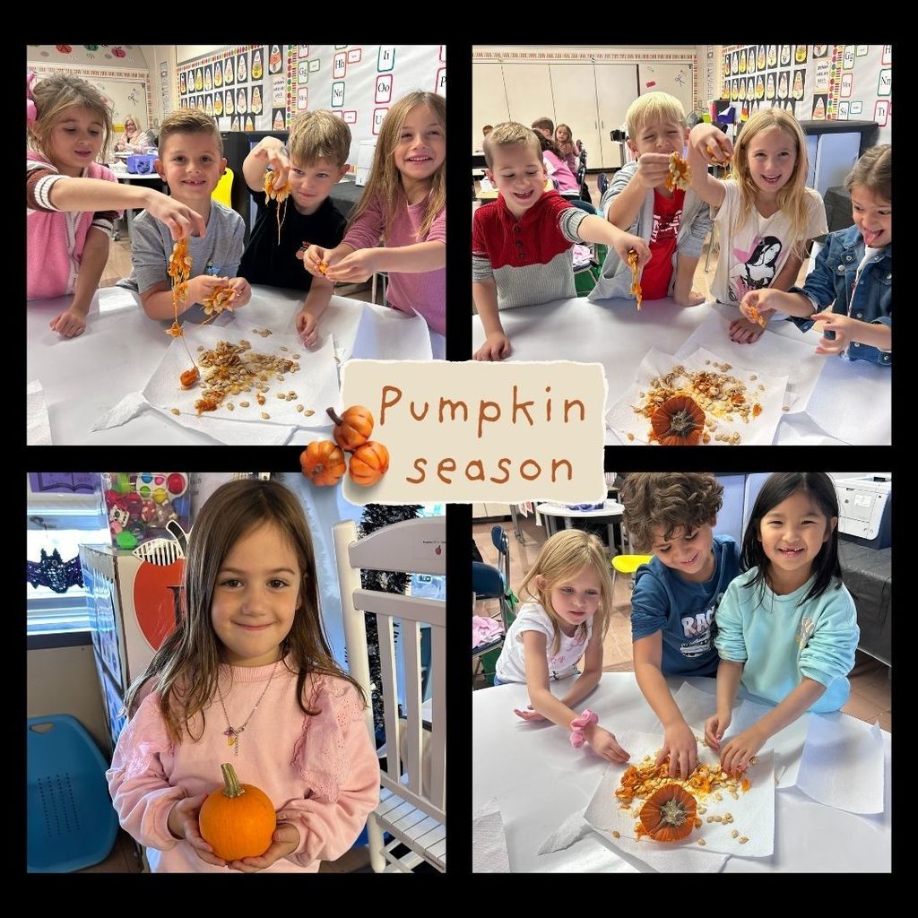 Our young scientists took hands-on learning to a whole new level! From exploring the gooey insides to counting seeds and making observations, our students’ faces were full of surprise, curiosity, and pure joy. It's moments like these that remind us how powerful experiential learning can be! Curiosity truly comes alive when little hands and big imaginations get involved! #JustFocusonGrowing