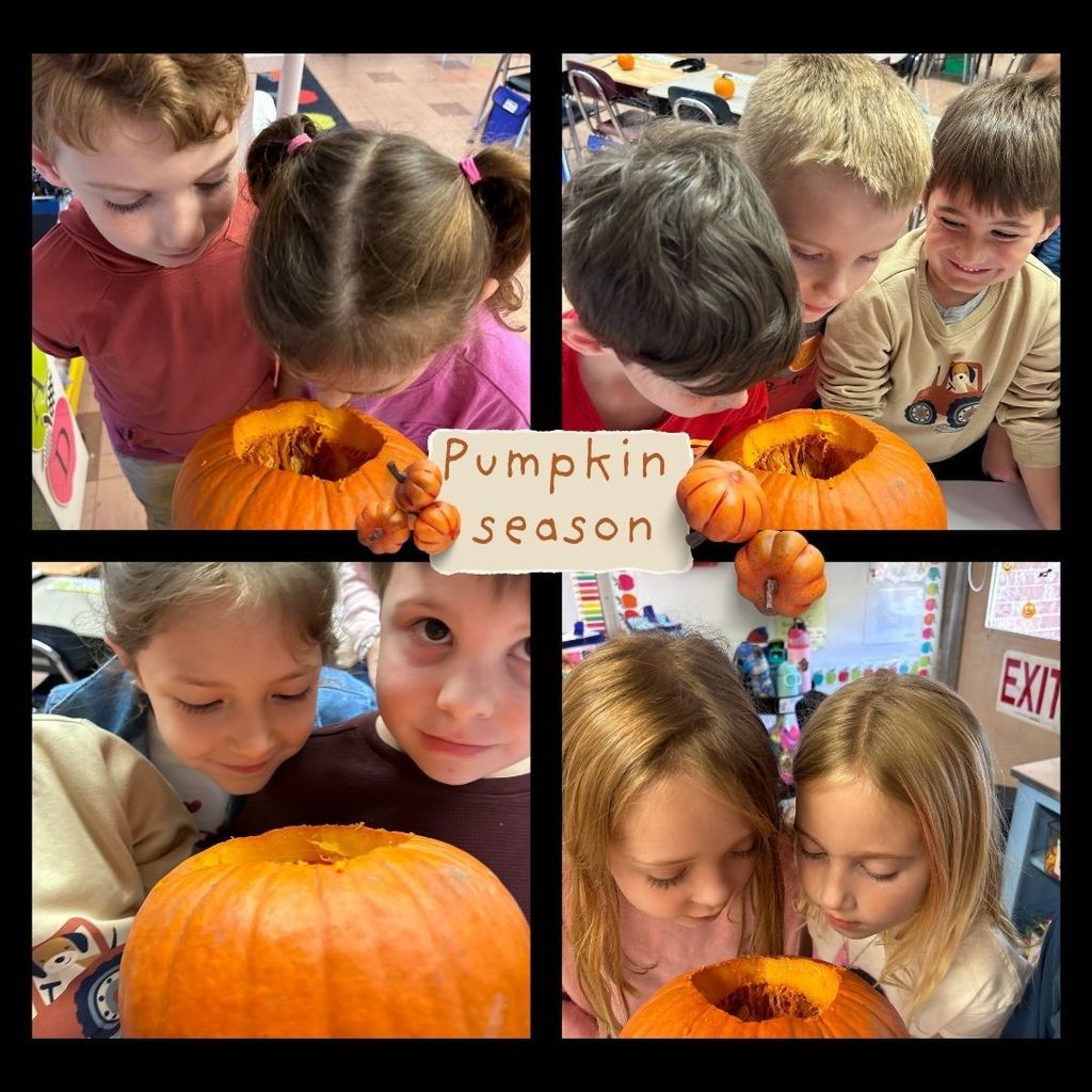 Our young scientists took hands-on learning to a whole new level! From exploring the gooey insides to counting seeds and making observations, our students’ faces were full of surprise, curiosity, and pure joy. It's moments like these that remind us how powerful experiential learning can be! Curiosity truly comes alive when little hands and big imaginations get involved! #JustFocusonGrowing