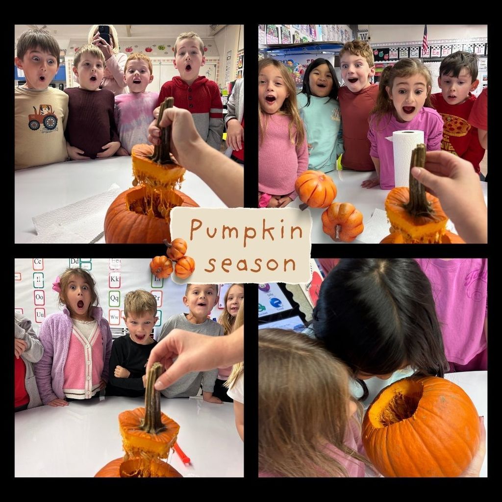 Our young scientists took hands-on learning to a whole new level! From exploring the gooey insides to counting seeds and making observations, our students’ faces were full of surprise, curiosity, and pure joy. It's moments like these that remind us how powerful experiential learning can be! Curiosity truly comes alive when little hands and big imaginations get involved! #JustFocusonGrowing