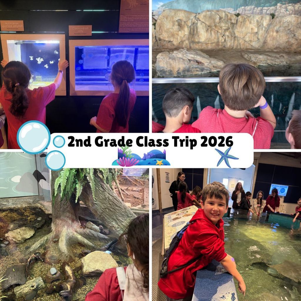 Grade 2 Class Trip Pictures 