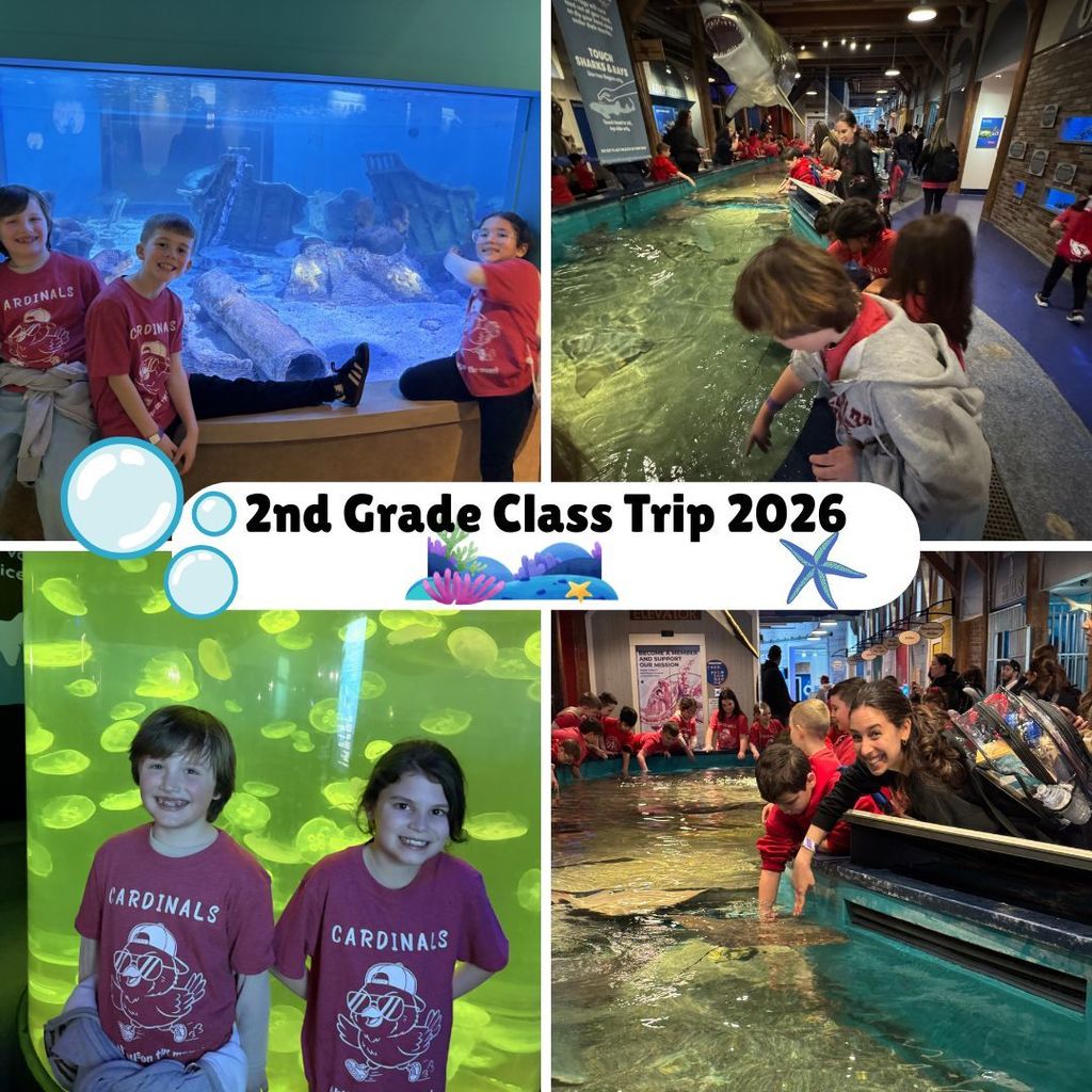 Grade 2 Class Trip Pictures 