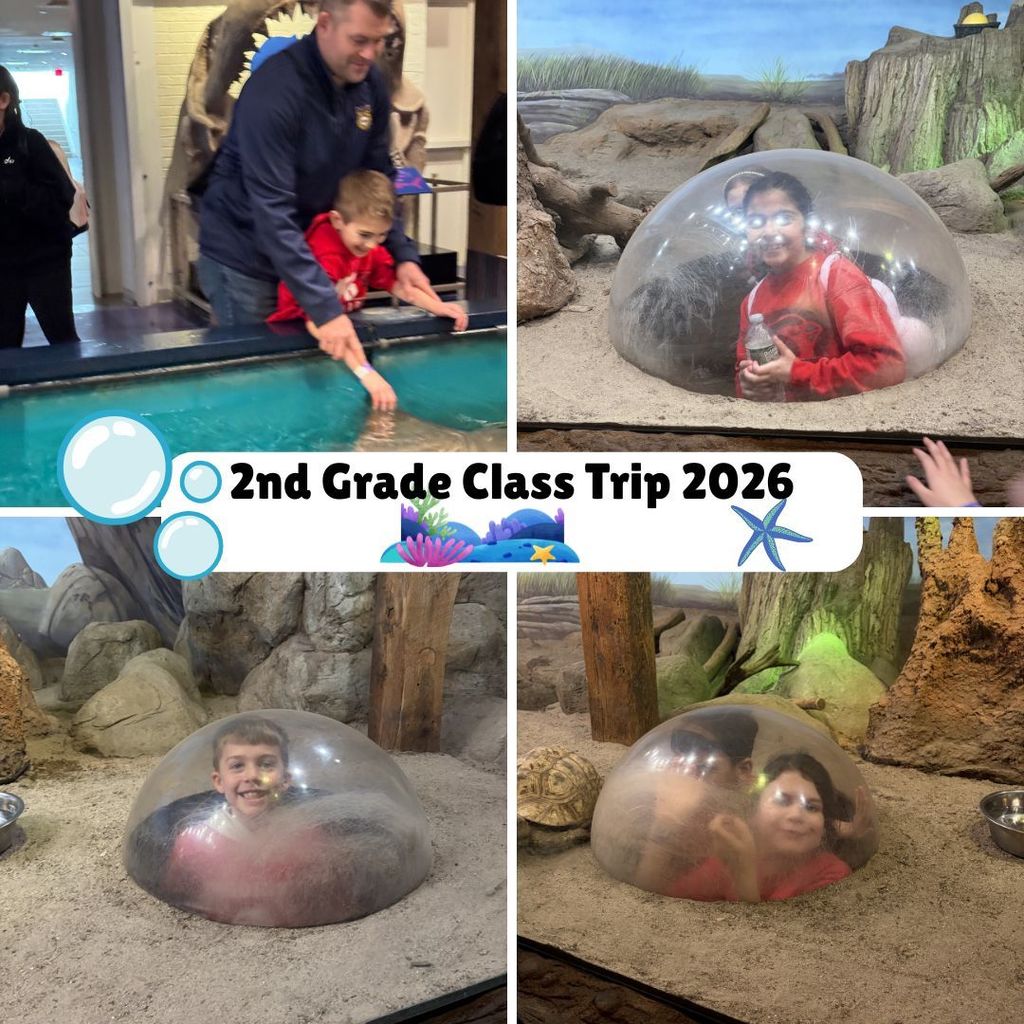 Grade 2 Class Trip Pictures 