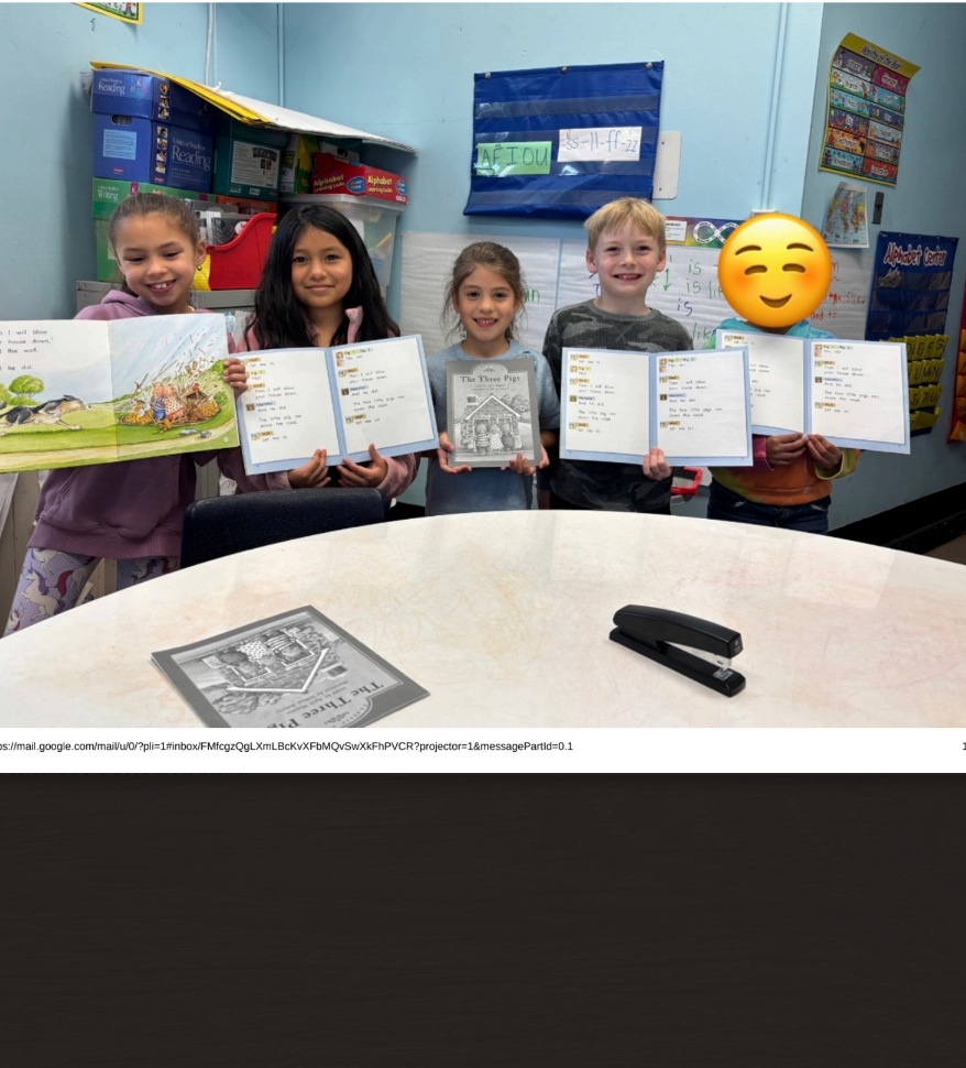 3 little pigs