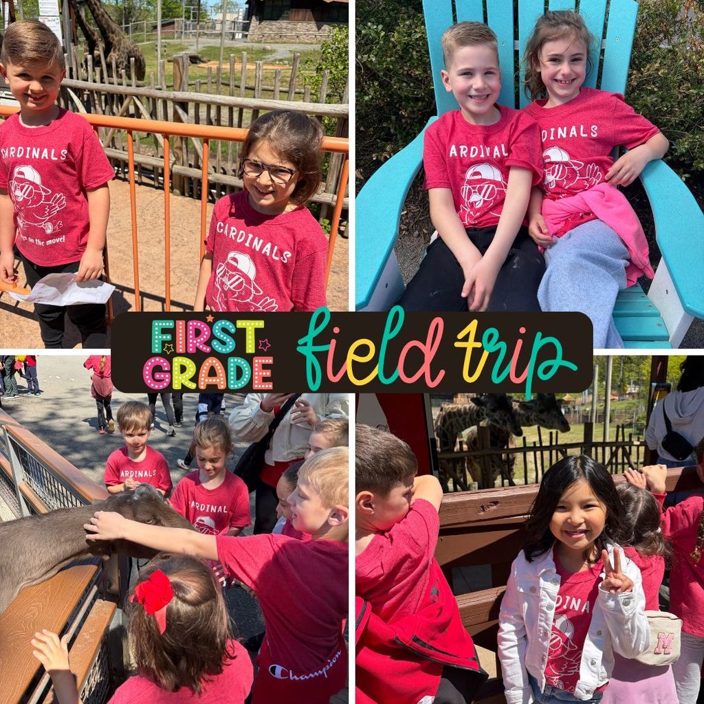 There’s something truly special about seeing learning come alive outside the classroom—curious eyes, big smiles, and those unforgettable “wow!” moments as students discovered new creatures and connected what they’ve learned in class to the real world.